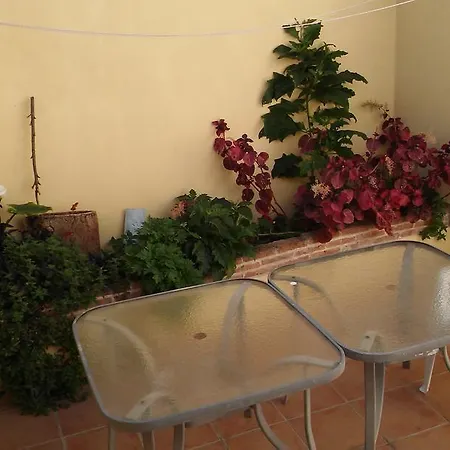 Prázdninový dům Casa Alto Rodes Faro